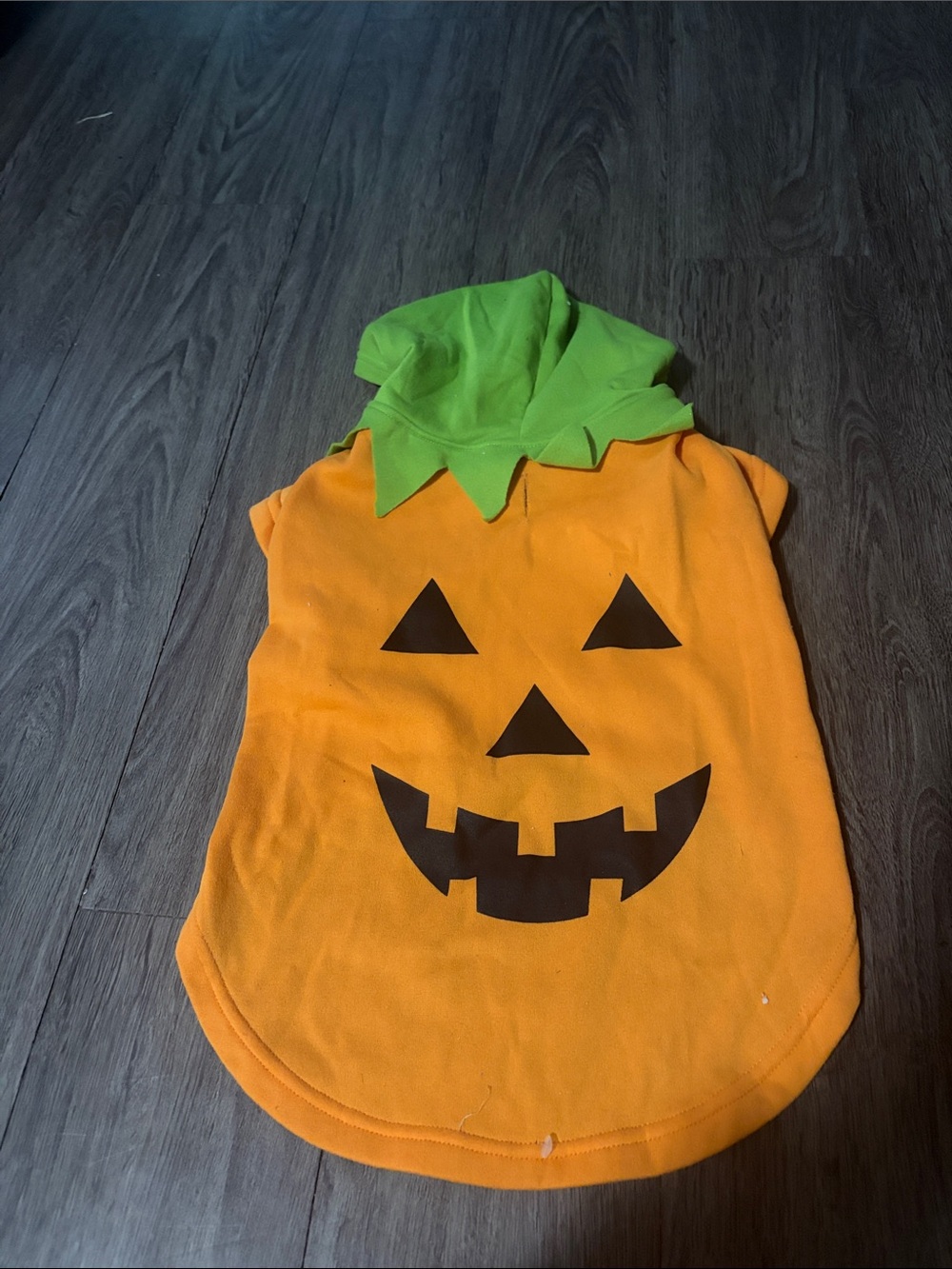 Medium Pet Orange Pumpkin  Costume Hoodie with Green Stem